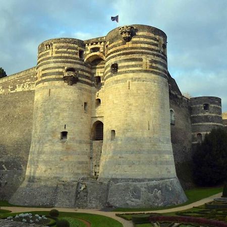 Souvenirs D'Enfance-La Bonne Marienne-La Madeleine Lägenhet Angers Exteriör bild